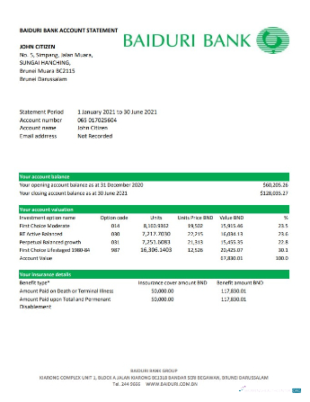 Download Brunei Baiduri bank statement excel Photoshop template